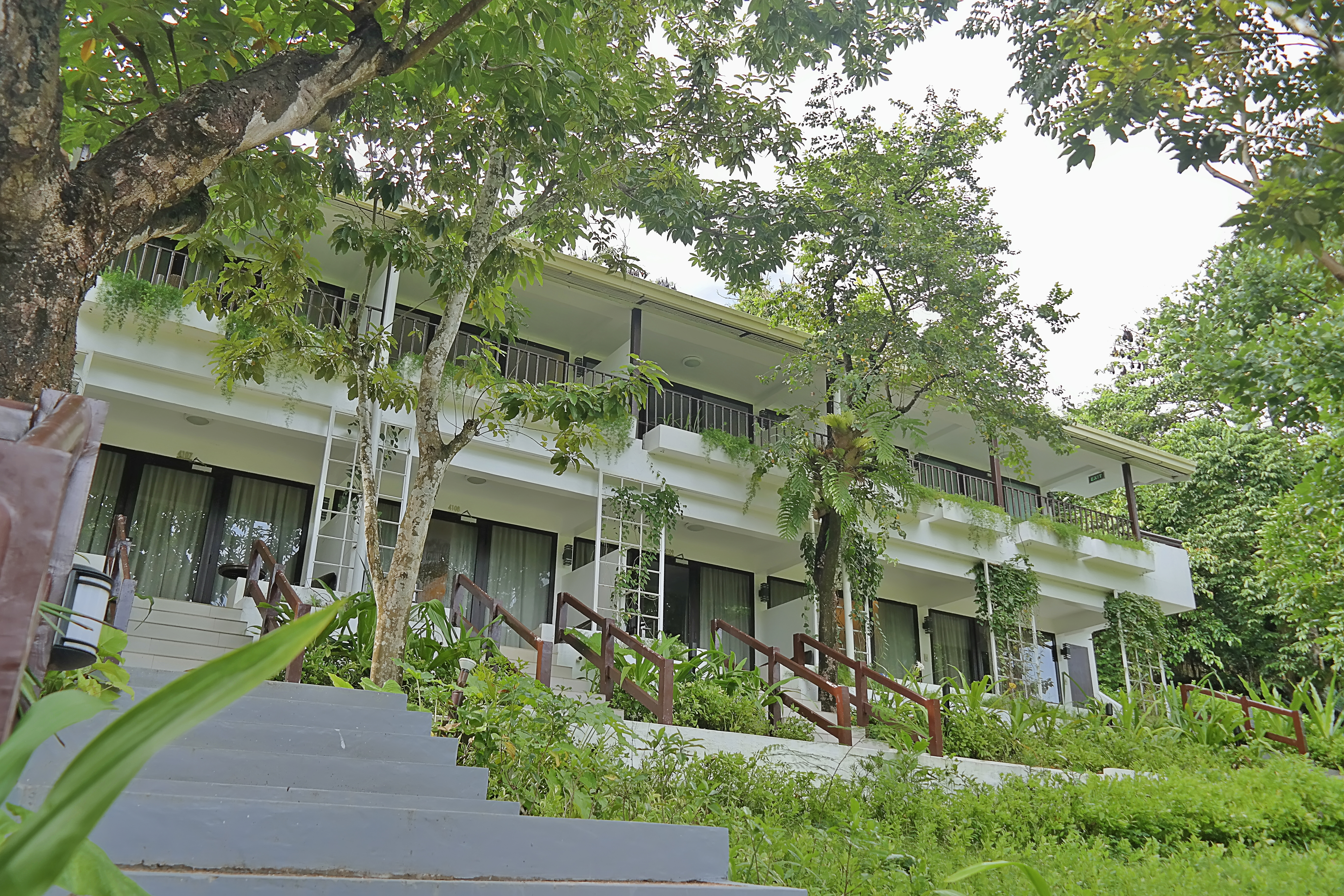 Garden Suite image 7