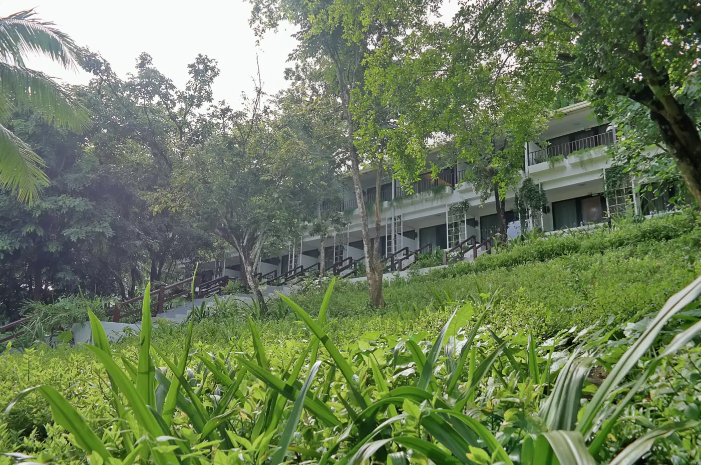 Garden Suite image 8